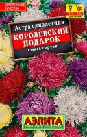 Астра Королевский подарок, смесь сортов ,2г: Одними из самых впечатляющих астр общепризнанно являются коготковые. Они обладают крупными, элегантными густомахровыми соцветиями и продолжительным цветением. Дают отличную срезку.