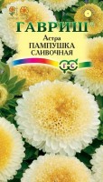 Пампушка сливочная астра 0,3гр (г): Цвет: http://sibsortsemena.ru/catalog/01_semena/semena_tsvetnye_pakety/tsvety/astry_1/pampushka_slivochnaya_astra_0_3gr_g/
Внимание ! Цена действительна только при покупке ряда 10шт. При штучном выкупе наценка потавщика 50 %