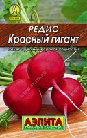 Редис Красный гигант 2г: Крупноплодный сорт для открытого и защищенного грунта. Формирует урожай за 25-30 дней. Корнеплоды массой 28-30 г. Мякоть белая, превосходного освежающего вкуса. Урожай осеннего сбора может храниться 3-4 месяца. Товарная урожайность 2,5-3 кг/м2.