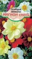 Пикколо мигнон смесь, георгина 35см 0,2гр.(ссс): Цвет: http://sibsortsemena.ru/catalog/01_semena/semena_tsvetnye_pakety/tsvety/georgina_1/pikkolo_mignon_smes_georgina_35sm_0_2gr_sss/
Внимание ! Цена действительна только при покупке ряда 10шт. При штучном выкупе наценка потавщика 50 %