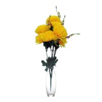Цветы искусственные №26-8: Цвет: https://tk-bagira.ru/soput-tovary/iskusstvennye_tsvety/240412/
ЦВЕТ: Желтый
