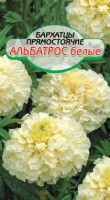 Альбатрос бархатцы прямостоячие 0,05гр (ссс): Цвет: http://sibsortsemena.ru/catalog/01_semena/semena_tsvetnye_pakety/tsvety/barkhattsy/albatros_barkhattsy_pryamostoyachie_0_05gr_sss/
Внимание ! Цена действительна только при покупке ряда 10шт. При штучном выкупе наценка потавщика 50 %