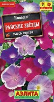 Ипомея Райские звезды, смесь сортов 0,5г: Изумительная обильноцветущая лиана с крепкими стеблями. За короткое время способна подняться на высоту до 300 см, создавая живой занавес из ярких, крупных цветков-граммофонов ? 6-8 см и изумрудной листвы. Цветение раннее и продолжительное, с июля до окончания сезона. Растения тепло- и светолюбивые, засухоустойчивые. Великолепно подходят для озеленения беседок, пергол, навесов, для декорирования заборов и стен домов. Хорошо растут в контейнерах и балконных ящиках.