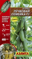 Пучковая семейка F1 10шт парт огурец (а): Цвет: http://sibsortsemena.ru/catalog/01_semena/semena_tsvetnye_pakety/ogurtsy/puchkovaya_semeyka_f1_10sht_part_ogurets_a/
Внимание ! Цена действительна только при покупке ряда 10шт. При штучном выкупе наценка потавщика 50 %