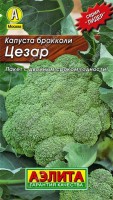 Капуста брокколи Цезар 0,3г: Среднеранний сорт, от массовых всходов до созревания центральной головки 100-110 дней. Головка массой до 600 г, эллиптическая, плотная, темно-зеленая, с нежной текстурой, хорошего вкуса. После срезки центральной головки интенсивно отрастают вторичные. Товарная урожайность 2,5 кг/м2. Рекомендуется для всех видов кулинарной переработки и замораживания.