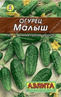 Огурец Малыш 10 шт: Ультраскороспелый пчелоопыляемый сорт для открытого грунта. Ценится за компактность, выносливость, дружную отдачу урожая, хороший вкус. Растения кустовые, с короткими междоузлиями. Длина плетей 60-100 см. Зеленцы массой 60-80 г, крупнобугорчатые, белошипые. Не перерастают. Назначение салатное и консервное.