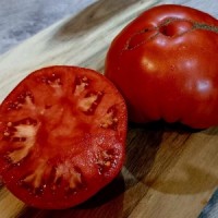 Томат Австралиец 10шт: <p>Среднеранний высокоурожайный сорт. Плоды крупные, слегка ребристые у плечиков, мясистые, малосемянные. Мякоть сочная, маслянистая, тающая во рту, с классическим вкусом, практически без кислоты. Плоды в среднем 400-600г, при ограничении кистей на 2 плода и ведения в 1 ствол можно получить плоды весом 1кг. Томаты пригодны для употребления в свежем виде: салаты, нарезка. Хорошо подходит для переработки в консервы &mdash; пасты, соки, салаты. Для большого урожая лучше выращивать в 2 ствола.</p>