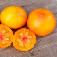 Томат Вариегатный Дракон 10шт: <p>Высокорослый, среднеспелый, высокоурожайный, болезнеустойчивый сорт, с вариегатным листом.&nbsp;Плоды плоско-округлые, жёлто-оранжевые, мясистые, плотные, со сладковатым, фруктовым вкусом.&nbsp;Подходят для употребления в свежем виде, а также для всех видов переработки.</p>