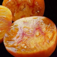 Томат Грейпфрут 10шт: <p>Куст до 2м, плоды до 20г. Очень хорошо хранятся. Сладкие.</p>