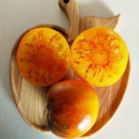 Томат Ананасный Сержант румяный 5шт: <p>Индет, более 2,0 м. Среднеспелый. Форма серцевидная. Масса 300-500 грамм. Цвет оранжево-малиновый. Разрез би-колорный, повторяет цвет плода. Мякоть сочная, плотная, напоминает мякоть ананаса. Вкус сладкий.&nbsp;Рекомендуется формировать в 2 стебля с подвязкой, так как кусты тонкие, изящные. Сорт урожайный в любое лето. Сорт - красавец!&nbsp;Сорт подходит для свежего потребления, экзотических соусов и соков.</p>