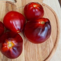 Томат Бронзовая груша с. Пеппера 10шт: <p>Индет., в ОГ высотой 1.5 м, лист обычный, среднего срока созревания.&nbsp;Плоды сердцевидно-грушевидные, в среднем от 100 до 200г.&nbsp;Интересный окрас плодов: оранжево-бронзовые снаружи, с темным антоцианом на плечиках и красной мякотью внутри.&nbsp;Мякоть плотная, сладкая, с насыщенным ароматом. Урожайный.</p>