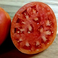 Томат Бычий мед 10шт: <p>Индетерминантный, высокорослый (1,8-2 м), среднеранний урожайный сорт. Для выращивания в теплицах, в южных районах и в ОГ. Формировать лучше в 1-2 стебля. Плоды сердцевидные, розового цвета, 200-400 г. Мякоть нежная, сочная, сладкая, очень вкусная. Идеальны для свежего потребления, для различных кулинарных заготовок, приготовления соков, густых паст, кетчупов, соусов. Сорт устойчив к основным болезням томатов. Всегда высокий урожай.</p>