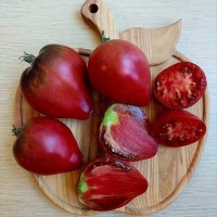 Томат Вишневый сироп 10шт: <p>Индет, более 1,8 м. Среднеспелый. Форма серцевидная. Масса 200-300 грамм. Цвет тёмно-бордовый с антоцианом. Мякоть чуть терпкая, сочная. Помидоры сбалансированного настоящего томатного вкуса.&nbsp;Рекомендуется формировать в 2 стебля с подвязкой, так как кусты изящные, стройные. Сорт урожайный в любое лето. Вяжет в любую погоду, в любых условиях. Сорт-шедевр!&nbsp;Сорт подходит для свежего потребления, соусов, соков и пасты.</p>