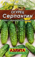 Огурец Серпантин 20шт: Раннеспелый сорт сибирской селекции для открытого грунта. Пчелоопыляемый. От всходов до первого сбора 36-40 дней. Зеленцы черношипые, массой 80-115 г. Вкусовые качества плодов высокие. Рекомендуется для свежего потребления и консервирования. Урожайность 4-5 кг/м2.