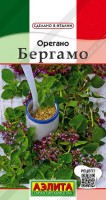 Орегано Бергамо , г: Многолетнее растение, известное также как душица. В средней полосе отлично зимует без специальных укрытий. Раннего срока созревания – от всходов до начала цветения 60-65 дней. В первый год растение высотой 30-40 см, во второй – 60-70 см. Орегано имеет не только кулинарное, но и декоративное значение. Уборку зелени проводят в период цветения. Побеги срезают на высоте 6-7 см от поверхности почвы. Сорт адаптирован для выращивания в горшках. Отличный медонос.