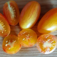 Томат Блаш 10 шт: Прекрасный выбор для тех, кто любит томаты с легкой кислинкой. Этот сорт отличается высокими урожаями и хорошей устойчивостью к низким температурам. Является одним из самых популярных сортов в США. Куст 2м. Вес 20г. Помидоры имеют умеренно плотную сочную мякоть.