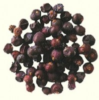 Можжевеловые ягоды 50 гр: Специя можжевельник (в сухом и свежем виде) – важная пряность во многих европейских кухнях, особенно альпийских, где он растет в диком виде. В качестве пряности используют шишкоягоды можжевельника, имеющие своеобразный, тонкий, хвойный аромат с острым оттенком и терпкий вкус. Обладающие анитсептическими свойствами, можжевеловые дрова невероятно ценятся при копчении и жарении на углях или открытом огне мяса, дичи, птицы, рыбы.Специя можжевельник прекрасно сочетается с мясными блюдами. Благодаря своему вкусу и аромату, пряность придает мясу домашних животных и птиц запах леса. Часто из можжевельника готовят соусы для основных блюд. Очень вкусна рыба в можжевеловом соусе. Можжевельник может быть использован в супах и бульонах. Невероятно популярен можжевельник при закваске овощей, например, немецкий рецепт Sauerkraut предписывает квасить капусту с можжевельником, тмином, лавровым листом в дубовых бочках. В Польше к мясу в можжевеловом маринаде принято подавать джем из красной брусники, свеклу, квашеную краснокочанную капусту. Также специя можжевельник добавляется в блюда из картофеля, фасоли, паштеты, фарши, маринады, соусы, выпечку. Очень вкусен можжевеловый сироп, а также желе, варенье, мармелады, кисели, компоты, чаи, пряники, коврижки из можжевельника. На Руси с давних времен из шишко ягод можжевельника готовили квас, морс и хмельное вересовое сусло. Можжевеловое пиво и сейчас варят в Швеции и Финляндии, а в Америке и Англии производят можжевеловую водку. Все мы знаем можжевеловый джин. Популярны ликеры из можжевельника. Можжевельник используют в производстве немецкого "Steinhager", голландского "Jenever", крепких настоек. Из зрелых сухих плодов можжевельника готовят можжевеловый сахар, а также суррогат кофе. Можжевельник отлично сочетается с такими специями как лавровый лист, гвоздика, перец, тмин, майоран, розмарин, чеснок. При использовании свежих ягод нужно быть осторожным – если раздавить косточки (по 3 в каждой шишкоягоде), можжевельник начнет горчить. Нужно помнить о том, что специя можжевельник очень сильная, и нельзя использовать больше 5 ягод на 1 кг мяса. С пряностью можжевельник должны быть аккуратны люди с больной печенью и беременные. Среди можевельников встречается единственный вид с ядовитыми ягодами – казацкий можжевельник (черно-синие ягоды содержат по 2 косточки, его листья плоские, а не игольчатые). В закрытой посуде ягоды можжевельника могут храниться довольно долг