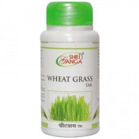 Wheat Grass Ростки пшеницы Шри Ганга: Это естественный источник хлорофилла, витаминов, минералов, аминокислот, ферментов, флавоноидов и диетических волокон. Он содержит более 90 питательных веществ и 19 аминокислот, включая 9 EAA (эфирные аминокислоты).

Польза ростков пшеницы заключается в уникальной способности восстанавливать больные ткани и системы организма. Она в изобилии содержит калий, кальций, кремний, хром, селен, медь, цинк, железо, йод, витамины В5, Е, С, Д, Р, фолиевую кислоту.   И когда пшеница прорастает, содержание всех этих элементов увеличивается, возникает синергетический эффект-то есть полезные вещества положительно воздействуют друг на друга. В результате укрепляющий и лечебный эффект пророщенной пшеницы оказывается очень высоким.   Нередко о пророщенной пшенице говорят как о панацее, способной справиться практически с любой болезнью. Ростки пшеницы, действительно, обладают полезными качествами и если не все, то очень многое, можно восстановить в комплексе с другими мерами. Например, считается, что регулярное употребление ростков пшеницы в пищу через несколько месяцев заметно улучшит резкость зрения, а со временем позволит и вовсе избавиться от очков. Но если часами смотреть телевизор, не соблюдать правила работы за компьютером, пренебрегать мерами гигиены при нанесении макияжа, то никакая пшеница глазам не поможет. Только бережное отношение к себе, в том числе и правильный режим питания, помогут сохранить здоровье. И очень мощным инструментом этого правильного питания является пророщенная пшеница.