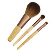 Набор кистей: http://ru.iherb.com/EcoTools-Mini-Essential-Set-3-Pieces/55068