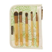 Набор кистей для глаз: http://ru.iherb.com/EcoTools-Six-Piece-Essential-Eye-Set-5-Brushes-1-Travel-Bag/25456