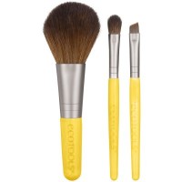 Набор кистей: http://ru.iherb.com/EcoTools-Mini-Essentials-Set-3-Brushes/65304