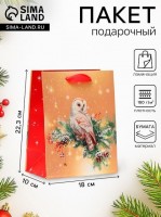 Пакет подарочный новогодний ламинированный «Совушка», 18×22.3×10 см: 2 шт есть
Пакет подарочный новогодний ламинированный «Совушка», 18×22.3×10 см